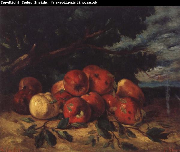 Gustave Courbet Red apples at the Foot of a Tree
